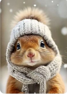 a small squirrel wearing a knitted hat and scarf with snow falling on the ground