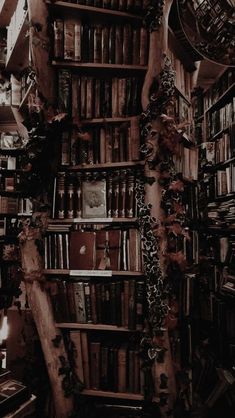 a room filled with lots of books on top of wooden shelves