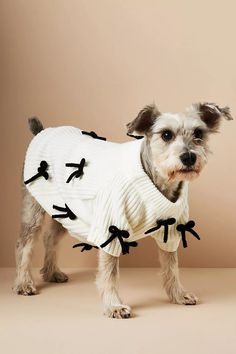 a small dog wearing a white sweater with black bows