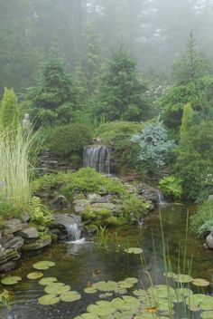 a small waterfall in the middle of a garden