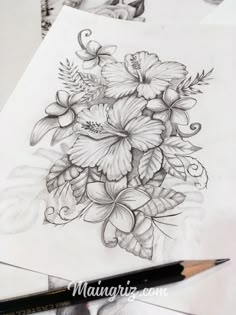 a pencil drawing of flowers and leaves on paper