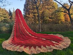 a woman wearing a red and gold bridal veil in the grass with trees behind her