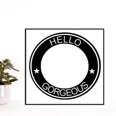 a potted plant sitting next to a black and white sign that says hello gorgeous