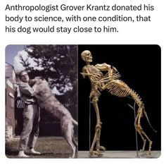 an image of a skeleton and a dog with caption that reads, anthropigist grover krantz donated his body to science, with one condition, that his dog would stay close to him