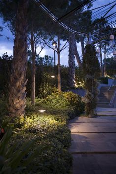 an outdoor pathway with lights and trees at night