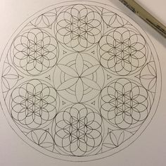 a drawing of a circular design with eight petals in the center and two pointy circles on each side