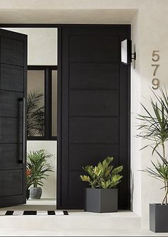 two potted plants in front of a black door