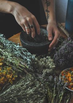 Herbs For Protection, Lev Livet, Green Witchcraft, Pagan Witch, Green Witch, Diy Interior, Healing Herbs