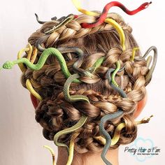 Crazy Hair day! - A girl and a glue gun Boys Halloween Hair, Snake Costume For Kids, Boys Crazy Hair Day Ideas, Cute Crazy Hair Day Ideas, Medusa Hairstyle, Medusa Braids, Boys Crazy Hair Day, Fun Braided Hairstyles, Snake Hairstyle