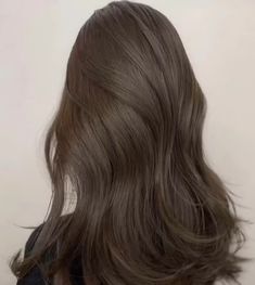 Brunnet Hair Ash, Ash Brown Full Hair Color, Dusty Dark Brown Hair, Short Hair Subtle Layers, Ash Mocha Brown Hair, Mute Brown Hair Color, Korean Hair Brown, Mud Brown Hair, Ash Brown Hair Cool Tone