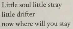 an open book with the words little soul little stray, little drifter, now where will you stay?