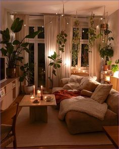 a living room filled with lots of furniture and plants on the windows sills