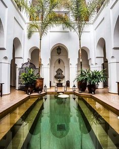 an indoor swimming pool surrounded by palm trees and potted plants in a white walled building