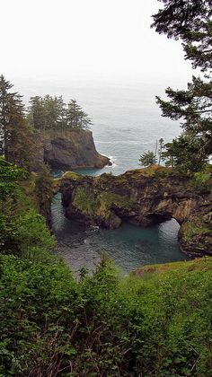 the ocean is surrounded by rocky cliffs and pine trees on both sides, with an arch in the middle