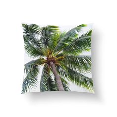 a palm tree on a white background is featured in this pillow case, which features an image of the top part of a palm tree