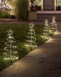 lighted trees in front of a house at night with lights on the grass and bushes behind them