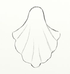 a drawing of a shell on a white paper