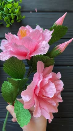 pink flowers are being held by someone's hand with green leaves on the outside