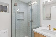 a bathroom with a walk in shower next to a white toilet and sink under a window