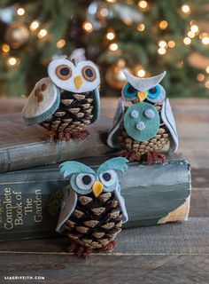 three little owls sitting on top of a pile of books next to a christmas tree