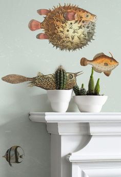 two fish are on the wall above some plants and cacti in white bowls