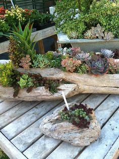 there are succulents and other plants in the planter on the table