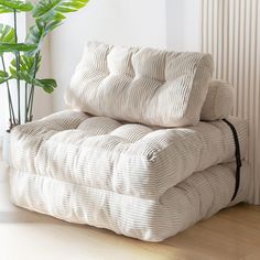 a white couch sitting on top of a wooden floor next to a potted plant