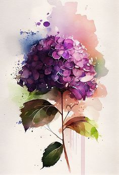 a watercolor painting of a purple hydrangea flower with green leaves on it