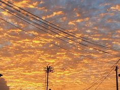 #Sunset #Golden #Sky #Nature #Beauty #sogumiicons #goldenhour #skywithwires #clouds Golden Hour Clouds, Gold Sunset, Just My Type, Sunrise Pictures, Cap Cut, Yellow Sky, Cute Pastel Wallpaper, My Type, Sky Sunset