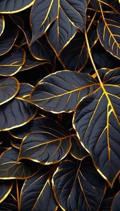 close up view of blue and gold leaves