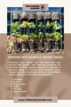 an advertisement for green mix bundle seedlings