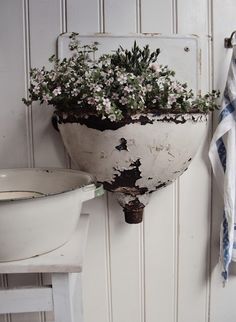 a potted plant hanging on the wall next to a sink