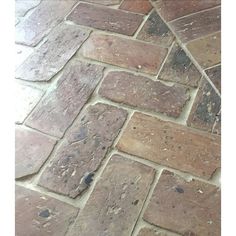 a cat is sitting on top of a brick floor