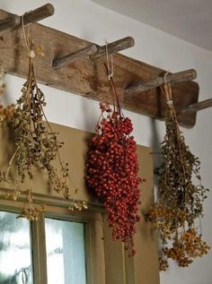 dried berries hang from the ceiling in front of a window with an old wooden frame