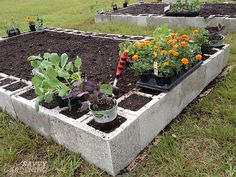 some plants are growing out of the concrete blocks in the garden area, with gardening tools nearby