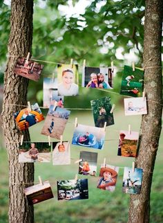 a tree with pictures hanging from it's branches and clothes pins attached to them