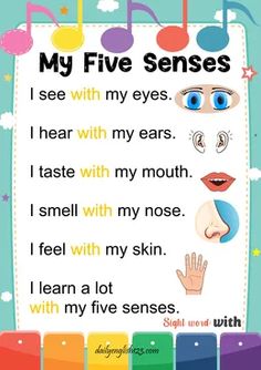 a poster with the words my five senses