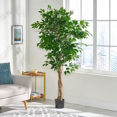 a living room with a couch, chair and potted plant