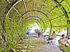 people are sitting on benches under an arch covered with vines and ivys at the park