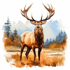 Top-Quality Elk Clipart: Oil Painting Style, Vector, 4K Elk Clipart, Drawing Deer, Elk Head, Bus Wrap, Unique Tattoo Designs, Banner Advertising, White Tattoo, Print Advertising, Digital Advertising