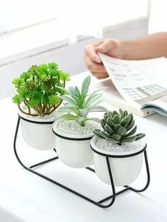 three succulents are sitting in white pots on a black metal stand next to an open book