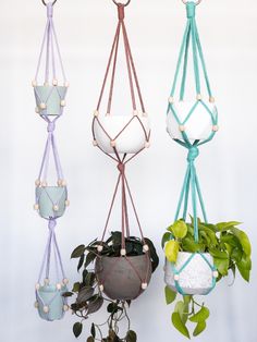 three hanging planters with plants in them and one is holding a potted plant