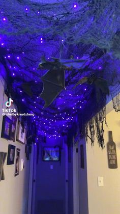 the ceiling is decorated with purple lights and decorations