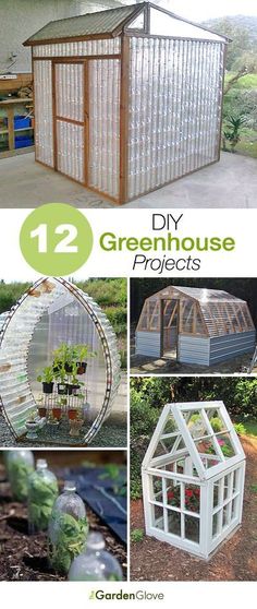 the cover of 12 diy greenhouse projects