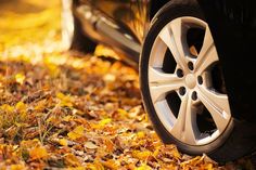 the wheel of a car is shown in front of some fallen leaves and yellow grass