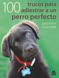 a black dog sitting on top of a lush green grass covered field with the words 100 trucos para adesitar a un perro perfecto