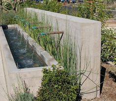 an outdoor water feature in the middle of a garden