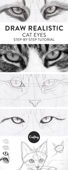 the steps to draw realistic eyes and cat's head in three different stages, including one