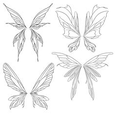 four different types of butterfly wings