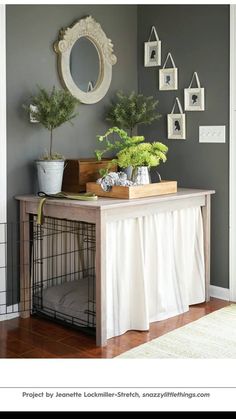 a dog crate with plants on top in front of a mirror and wall hangings